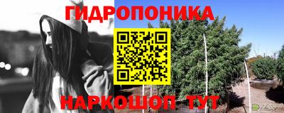 МДПВ Ипатово