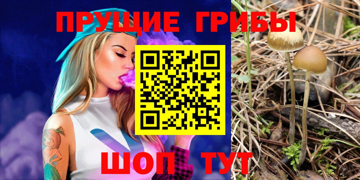 Галлюциногенные грибы мухоморы Красный Сулин