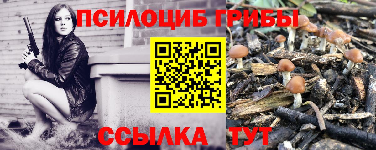 Галлюциногенные грибы Psilocybe  Вход с VPN  Псилоцибиновые грибы мицелий  Красный Сулин 
